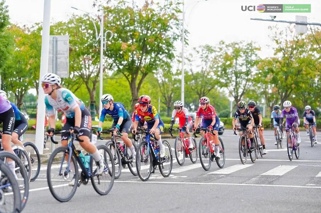 近十年来, 世界排名前, 虽然经验不